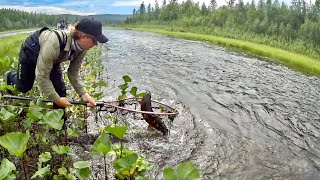 В Этих Кувшинках Водятся Настоящие Монстры! Впервые Приехал На Рыбалку В Сибирь