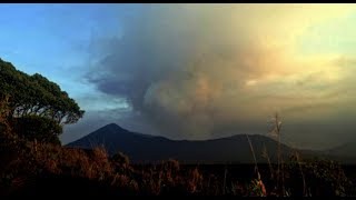 Sunspots, Volcano, Top Science News | S0 News Jan.21.2019
