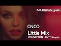 CNCO, LITTLE MIX - Reggaetón Lento (Remix) مفاجأة باخر الفيديو | مترجمة