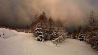 Watch Trail Of Tears Joyless Trance Of Winter video