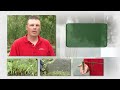 Controlling Algae and Weeds in a Pond