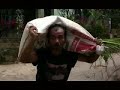 Komedi Orang Pintar Salah Paham Film Komedi Terbaru images Komedi Orang Pintar Salah Paham Film Komedi Terbaru