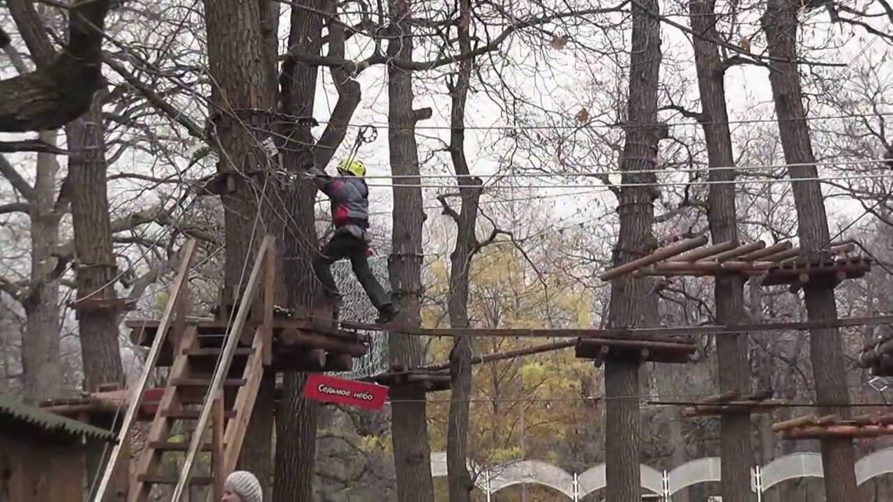 Писающие в городском парке