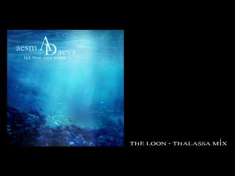 The Loon - Thalassa Video