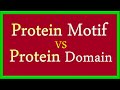Protein Motif Vs Domain