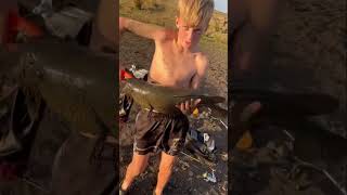 Big Murray Cod Caught With My Mates