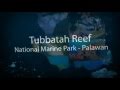 Best Philippine Tourist Spots - UNESCO World Heritage Site