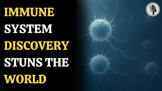 Immune System Breakthrough Wins Nobel Prize 2025 Wion Podcast