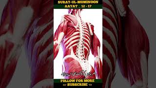 Surat Mominoon Verses 12 - 17 Explanation