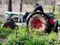 FENDT 270P con franginzolle - grande macchina