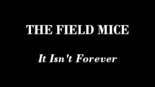 Watch Field Mice It Isnt Forever video