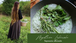 Tekuté Mydlo Z Mydlice Lekárskej