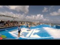 Royal Caribbean Oasis Of The Seas FlowRider Surfing Fail Compilation