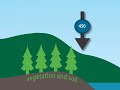 HUMAN INFLUENCE (Climate Insights: bite size)