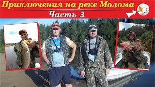 Недельное путешествие на реку Молома Часть 3