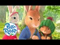 Peter Rabbit - Tales of the Three Mischievous Rabbits | 1 hour+ of Adventures! | Cartoons for Kids