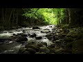 Music to Study to, Focus Music, Relaxing Music, Music for Study, Concentration Music, Study ☯3555