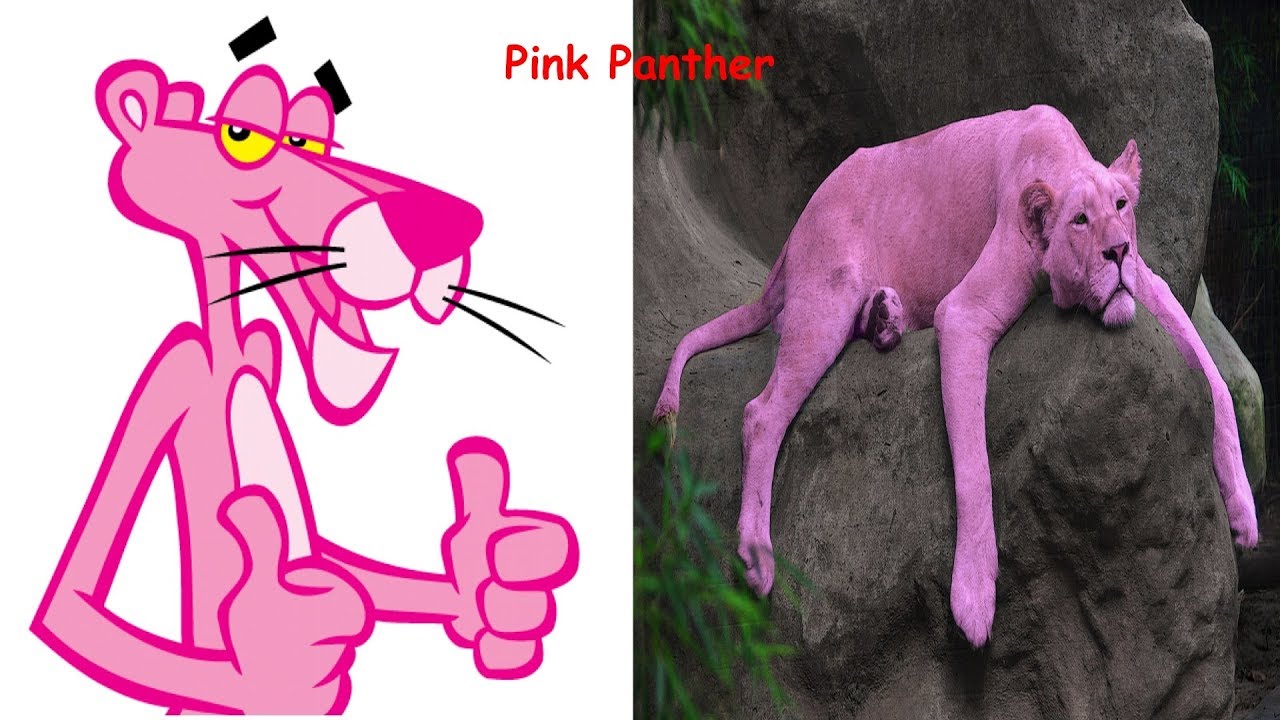 3rdleg merv pink panther