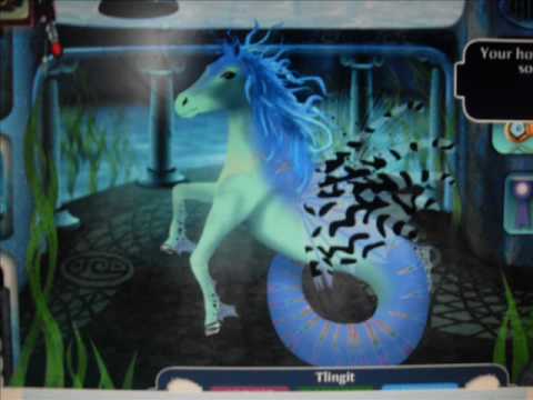 Bella Sara horses