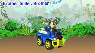 Paw Patrol Jungle Rescue In Сinema Finger Family Nursery Rhymes For Children