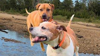 Morning River Adventures Buzz & Bolt Explore The Water