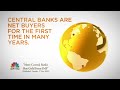 GoldNomics - Cash or Gold Bullion?