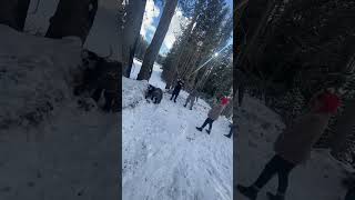 Snowball Fight Placeu.s
