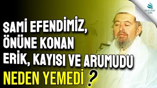 25. Sami Efendimizin Feraseti - Sohbetler 3 Kitabı - Yahyalılı Hacı Hasan Efendimiz K.s.