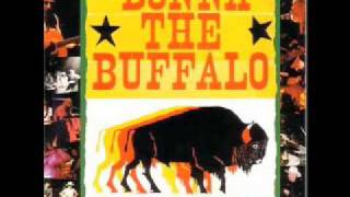 Watch Donna The Buffalo Positive Friction video