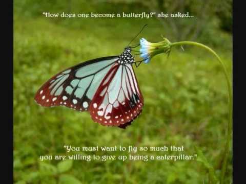 Beautiful Butterfly Quotes to Inspire You! - YouTube