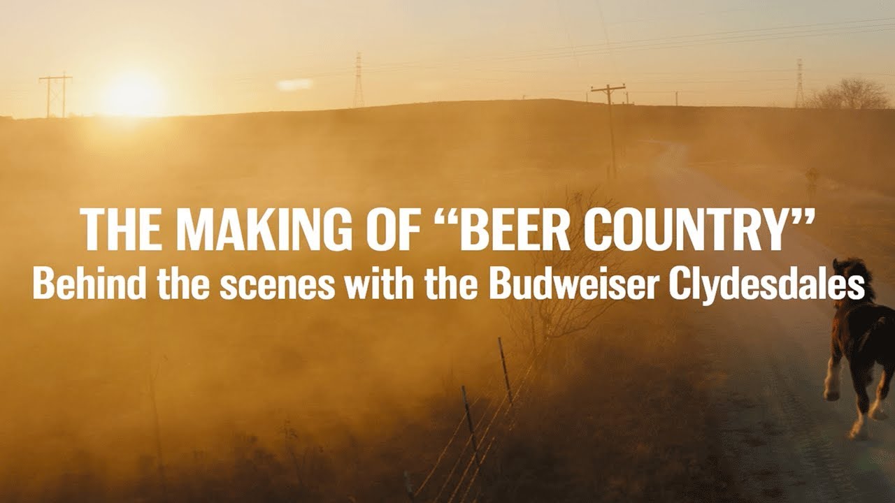 BUDWEISER SUPER BOWL