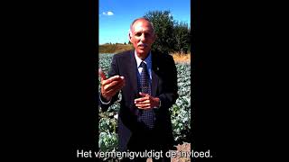 David Gates - Campmeeting Bruinisse 2018