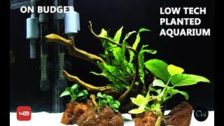 HOW TO SETUP LOW TECH PLANTED AQUARIUM | STEP BY STEP | LOW TECH AQUARIUM SERIES | DIY | on BUDGET