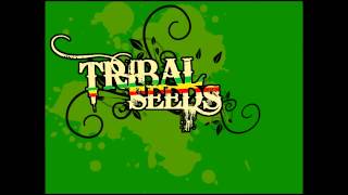 Watch Tribal Seeds Dark Angel video