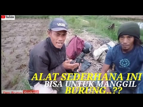 PERUK MANIA eps 03 || TRIK MENJARING BURUNG ALAT MANUAL.