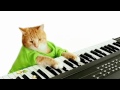 Keyboard Cat's Wonderful Pistachios Commercial!