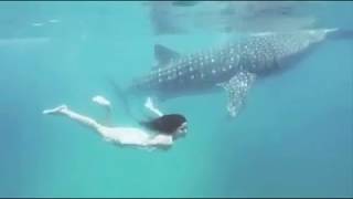 Katrina Kaif Under Water Leak Video