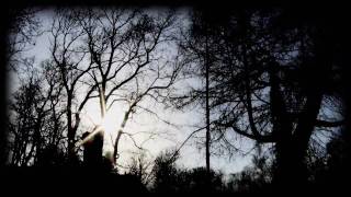 Amberian Dawn - He Sleeps In A Grove