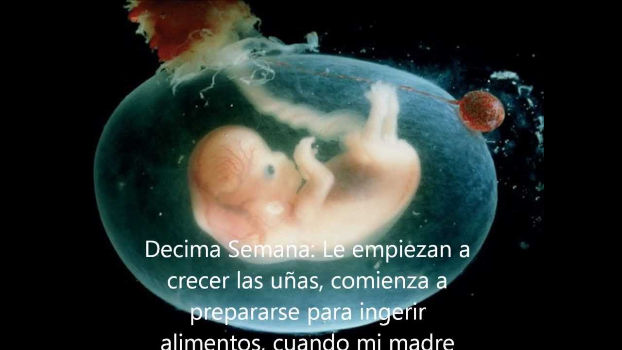 VIDEO SOLO DEJATE AMAR KALIMBA video solo dejate amar kalimba: