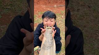 Makan Permen
