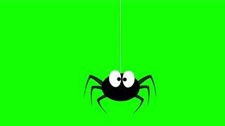 Free Spider Animation Chroma Key Overlay Green Screen Spring Animation For Beginners
