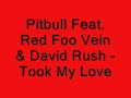 Pitbull Feat. Red Foo Vein & David Rush - Took My Love ( 2o11 ) Lyrics On Screen