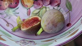 Grise de St. Jean - EXTREMELY Beautiful French Heirloom