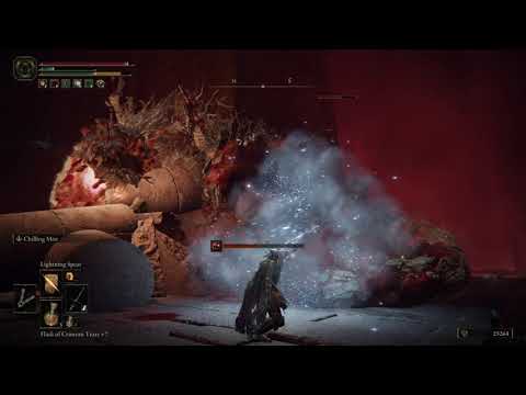 Ulcerated Tree Spirit (field boss) at Grand Cloister - Elden Ring