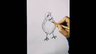 How To Draw A Cute Bird With A Hat Drawing A Cartoon Bird Wearing A Hat Fun & Easy