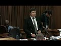 Oscar Pistorius Trial: Thursday 13 March 2014 Session 2