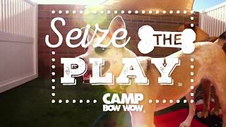 Seize the Play with Camp Bow Wow!