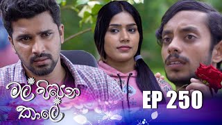 Mal Pipena Kale | Episode 250