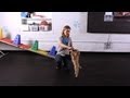 How to Teach Your Dog to Dance | Dog Tricks