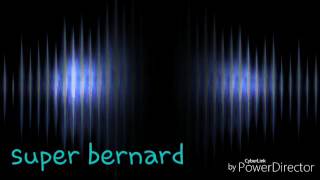 Super Bernard
